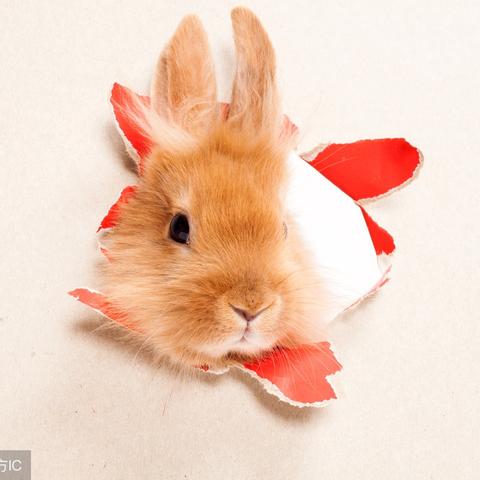 职场贵人天德星，升职加薪就靠它？