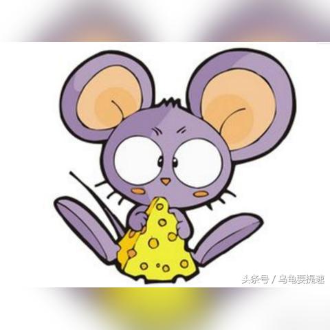 今年十二月生肖鼠运势(12月生肖鼠运势)