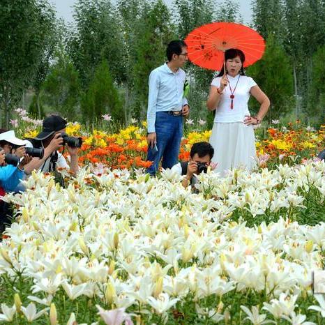 黑兰州花语的相关长尾关键词有哪些