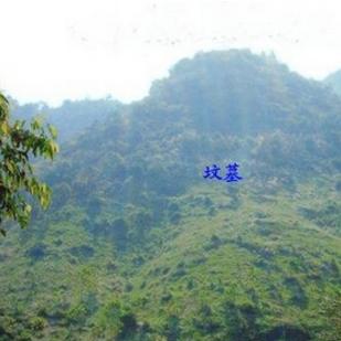 路旁土命 辛未 庚午(辛未路旁土命理详解)