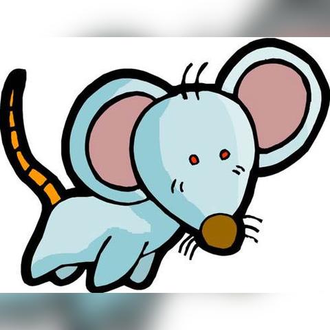 生肖鼠每日财运方向和运势(属鼠每日运势查询表)