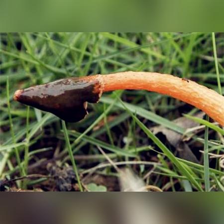 福建雨后的山的相关长尾关键词有哪些