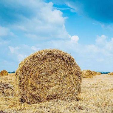 哈尔滨废气吸附装置相关长尾关键词有哪些