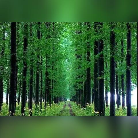 重庆金佛山国庆天气预报的长尾关键词有什么