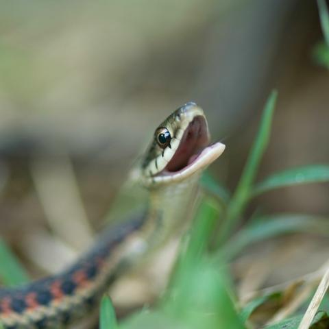 火土助运:这类男生这样补足命格能量