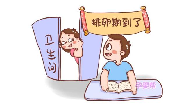提高受孕几率