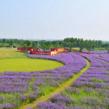 无锡市哪里有漂流玩儿的