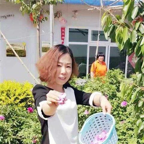 什么明珠小区石家庄市