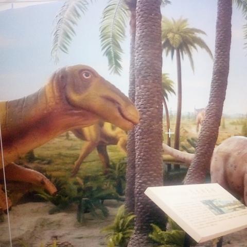 临沂市孙地球是谁的长尾关键词有什么