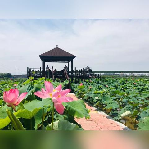 江西省赣州市兴国花海的长尾关键词有什么