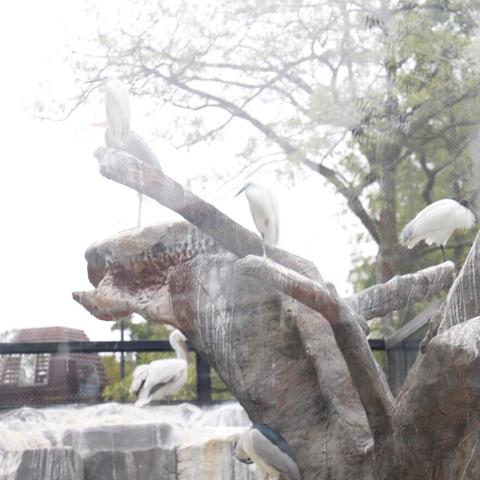 厦门市第十城公园在哪里