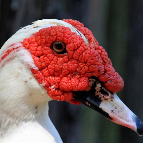 电影请鬼免费观看的长尾关键词有哪些