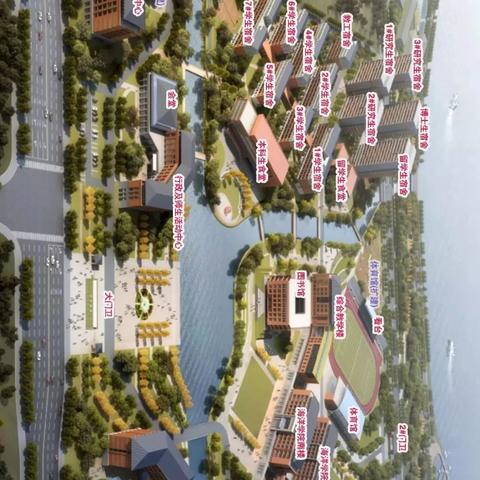 宁波市大学哪个区