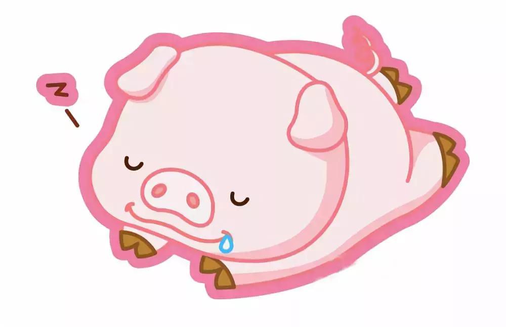 什么生肖公认的美食（生肖猪什么地方与众不同）