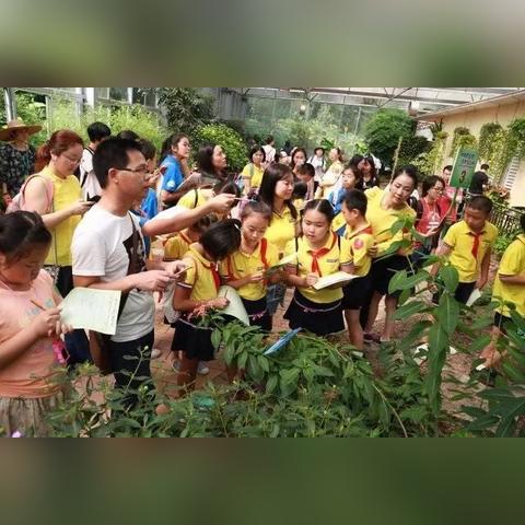 东莞市公办学校怎么报名