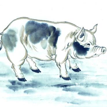 今日阴历十二生肖猪运势(农历今日属)