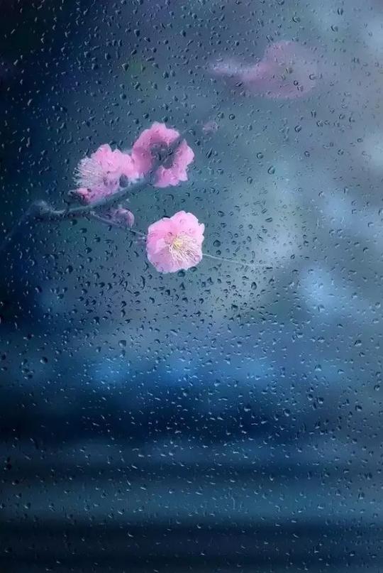 「摄影技巧」雨季必学的20种雨滴雨丝拍摄手法