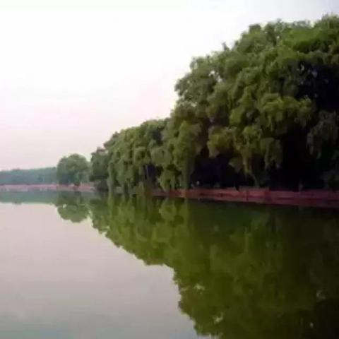 沈阳哪有室内旱冰场相关长尾关键词有哪些