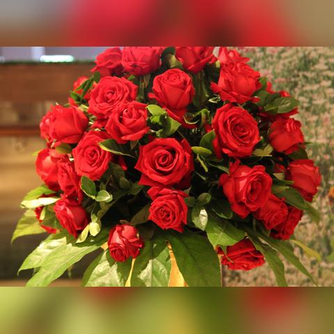 生肖猪7月运势如何(生肖猪7月运势如何呢)