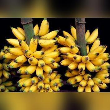 贵州山区和福建山区谁更好？