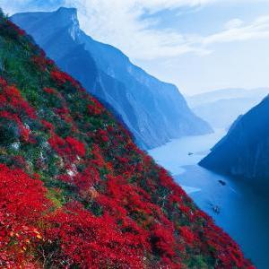 桂林大山里的月亮照片相关长尾关键词有哪些