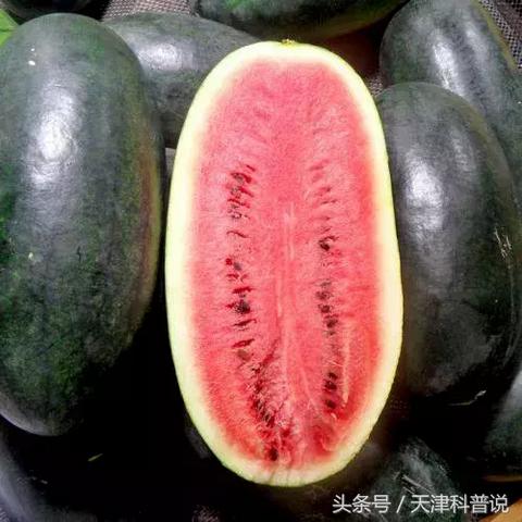 武汉到宜城汽车的相关长尾关键词有哪些