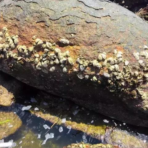 广东东莞市摆摊卖袜子的长尾关键词有什么