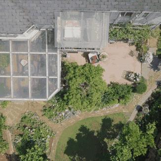 合肥有哪些卖花草的夜市？