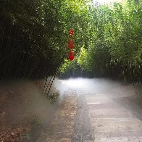 临沂市农具市场的长尾关键词有哪些