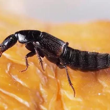 广州4号线相关长尾关键词有哪些