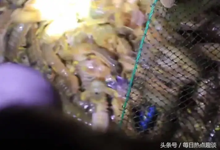 湿疹不能出海工作吗 出海都有什么工作