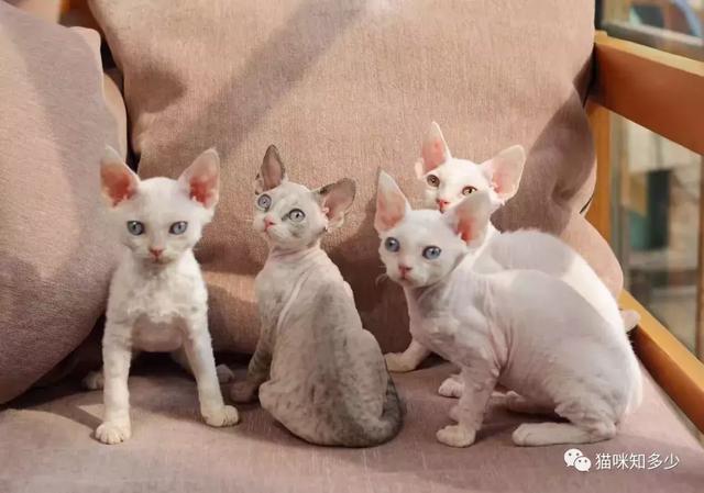 《风犬少年的天空》人物有原型吗