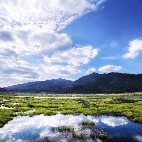 红烧羊头潍坊市哪里有买