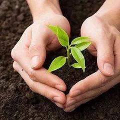 沈阳农用地相关长尾关键词有哪些