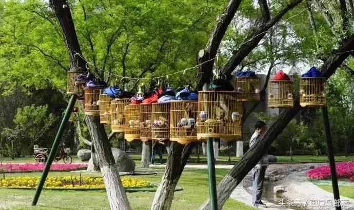 原神体能上限怎么增加(原神体力树脂怎么存)