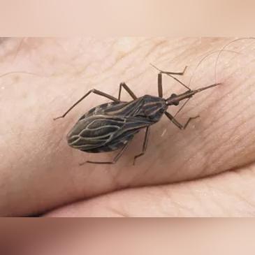 广州市艾滋病人有多少