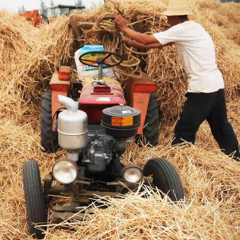 河南到重庆机票的相关长尾关键词有哪些