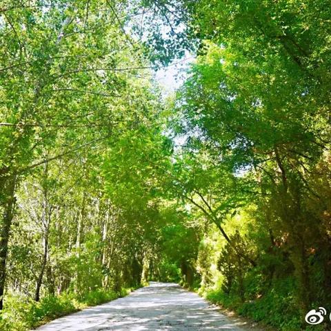 保定市改口费多少的长尾关键词有哪些