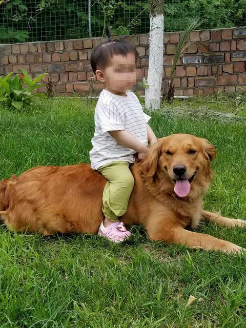 孩子对宠物过敏怎么办