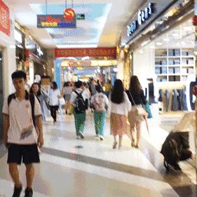 广州市搬冰箱找什么平台