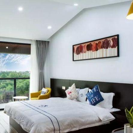 合肥市滨海区民宿有哪些