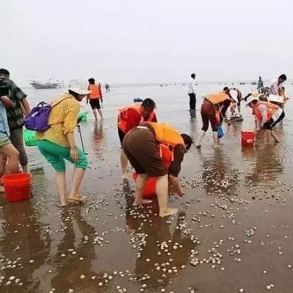 潍坊市哪里能捞螃蟹