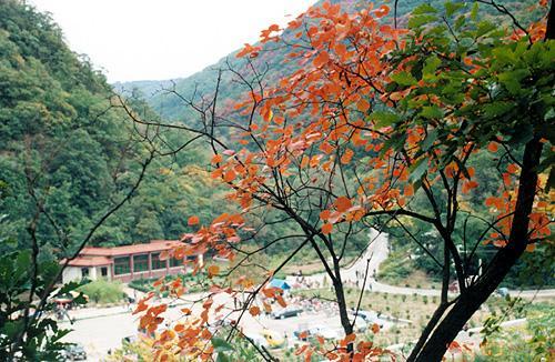 三门峡旅游景点排行:不容错过的绝美之地