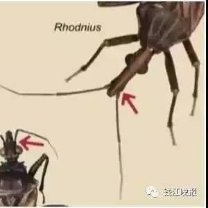 广州市艾滋病人数有多少