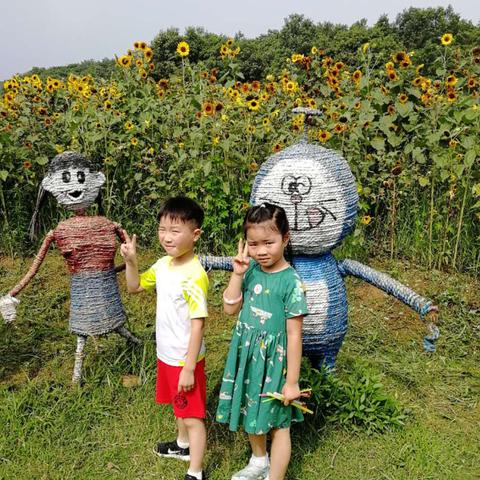 合肥市中央美域怎么样