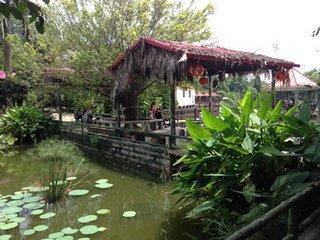 厦门还有这些偏门景点，适合周末去走走