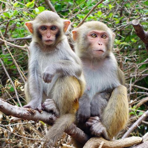 运势旺到年底的生肖(运势旺到年底的生肖是什么)