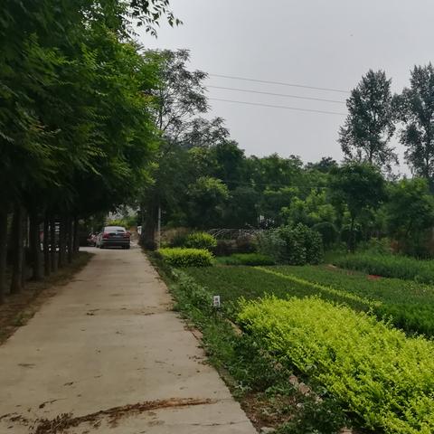 保定市盆地吗的长尾关键词有哪些