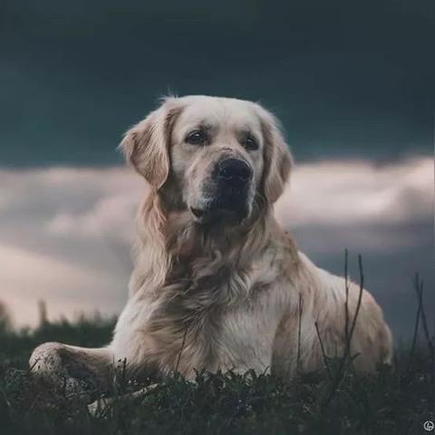 兰州周边居民搬家车辆的相关长尾关键词有哪些