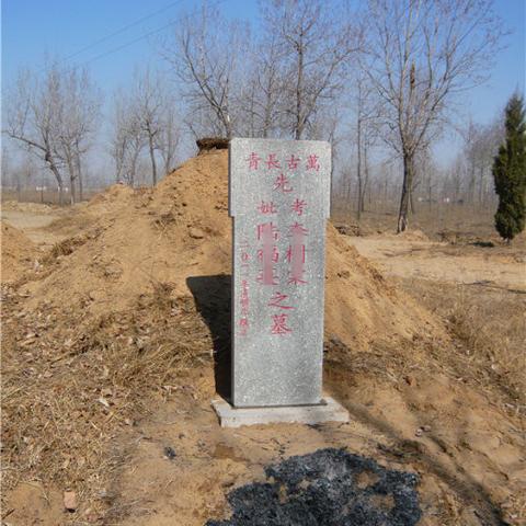 成都市哪里卖木材便宜点